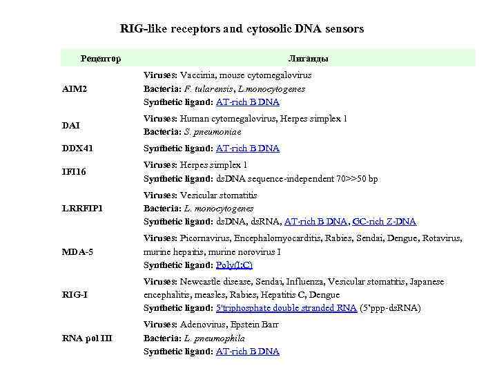 RIG-like receptors and cytosolic DNA sensors Рецептор Лиганды AIM 2 Viruses: Vaccinia, mouse cytomegalovirus
