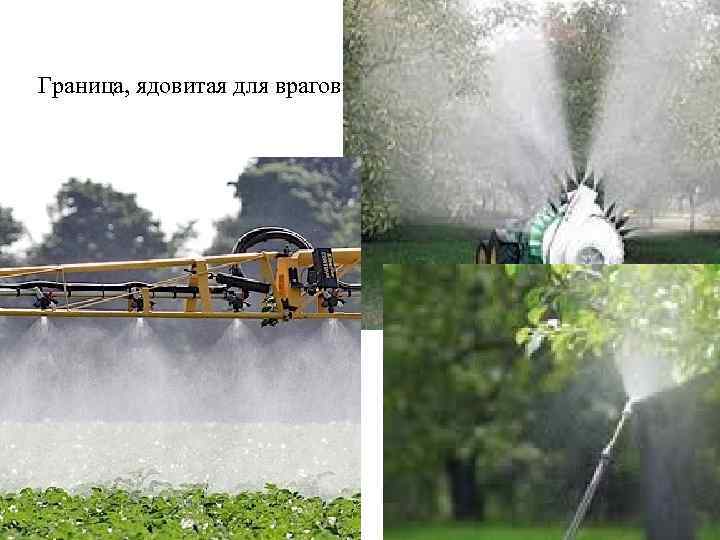 Граница, ядовитая для врагов 