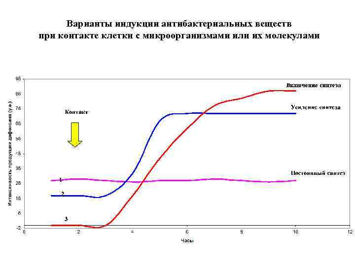 Варианты индукции антибактериальных веществ при контакте клетки с микроорганизмами или их молекулами 