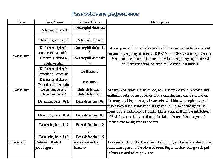 Разнообразие дефенсинов Type Gene Name Defensin, alpha 1 B α-defensin β-defensin Defensin, alpha 3,