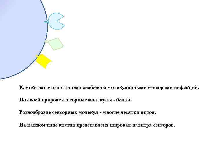 Клетки нашего организма снабжены молекулярными сенсорами инфекций. По своей природе сенсорные молекулы - белки.