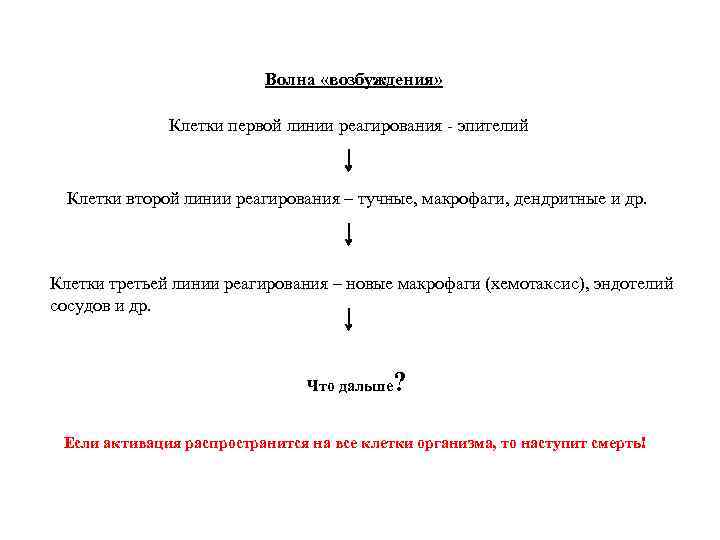 Волна «возбуждения» Клетки первой линии реагирования - эпителий Клетки второй линии реагирования – тучные,