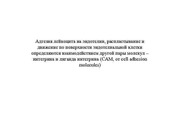 Адгезия лейкоцита на эндотелии, распластывание и движение по поверхности эндотелиальной клетки определяются взаимодействием другой