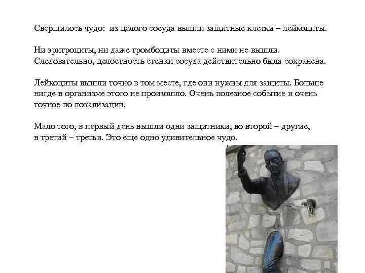 Свершилось чудо: из целого сосуда вышли защитные клетки – лейкоциты. Ни эритроциты, ни даже