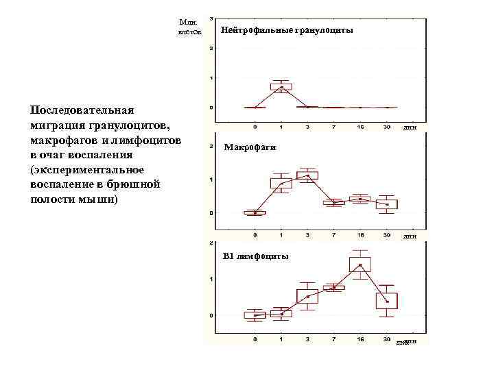 Млн. клеток Последовательная миграция гранулоцитов, макрофагов и лимфоцитов в очаг воспаления (экспериментальное воспаление в