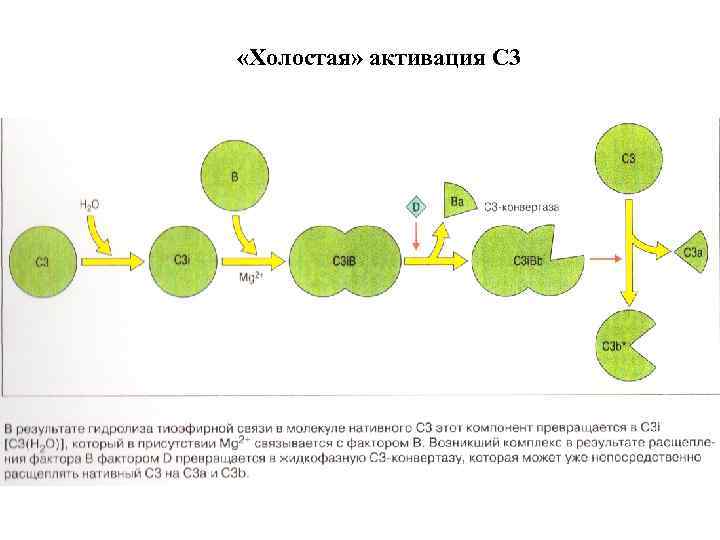  «Холостая» активация С 3 