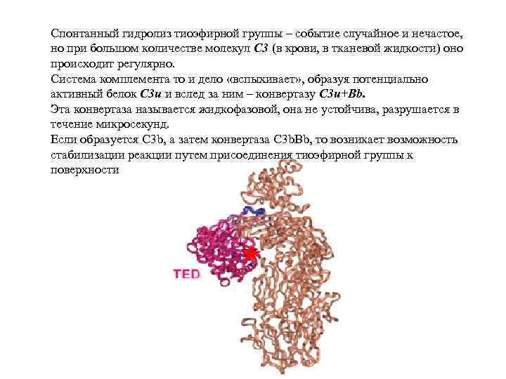 Спонтанный гидролиз тиоэфирной группы – событие случайное и нечастое, но при большом количестве молекул
