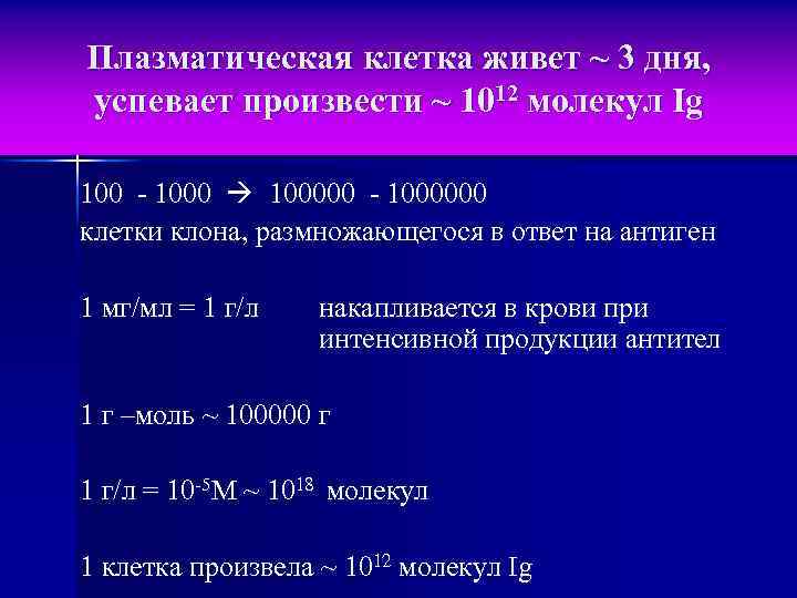 Плазматическая клетка живет ~ 3 дня, успевает произвести ~ 1012 молекул Ig 100 -