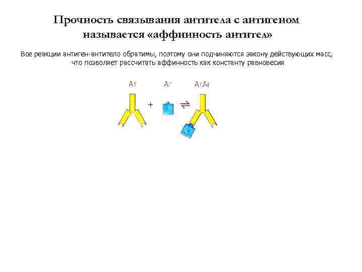 Прочность связывания антитела с антигеном называется «аффинность антител» Все реакции антиген-антитело обратимы, поэтому они