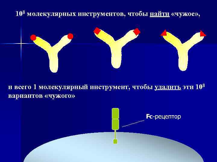 108 молекулярных инструментов, чтобы найти «чужое» , и всего 1 молекулярный инструмент, чтобы удалить