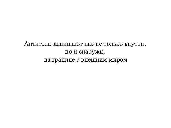 Антитела защищают нас не только внутри, но и снаружи, на границе с внешним миром