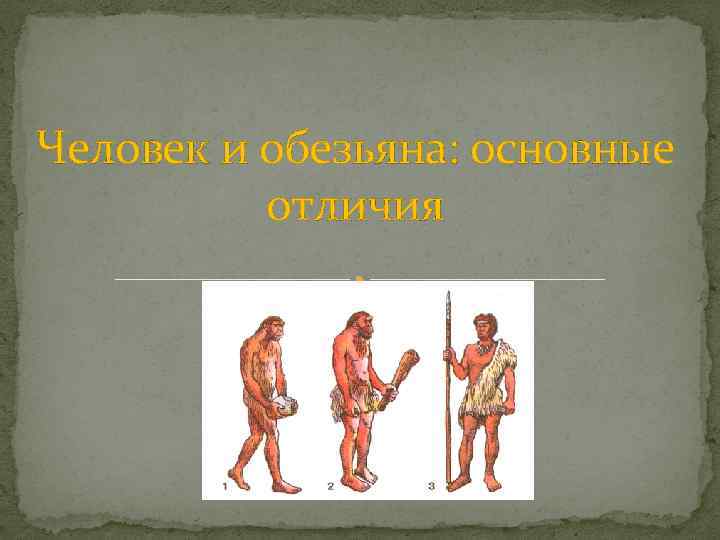 Человек и обезьяна: основные отличия 