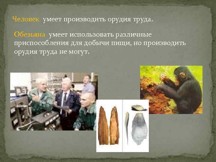 Человек умеет производить орудия труда. Обезьяна умеет использовать различные приспособления для добычи пищи, но