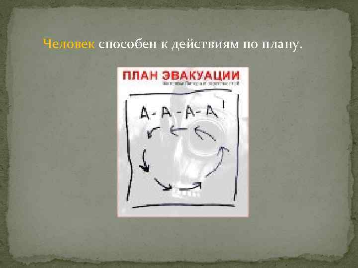 Человек способен к действиям по плану. 