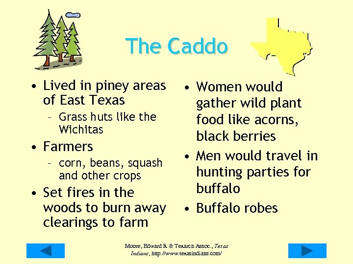 The Caddo • Lived in piney areas of East Texas – Grass huts like