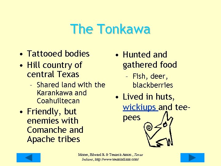 The Tonkawa • Tattooed bodies • Hill country of central Texas – Shared land