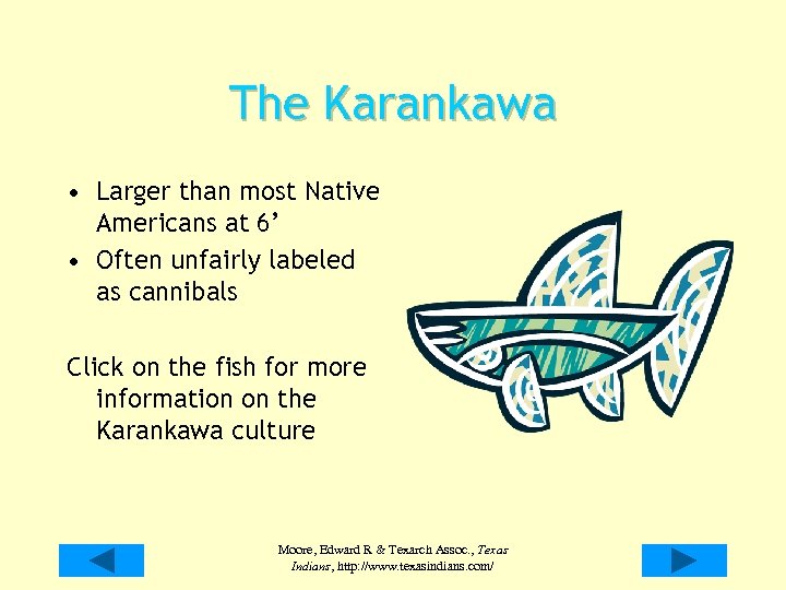 The Karankawa • Larger than most Native Americans at 6’ • Often unfairly labeled