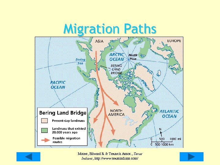 Migration Paths Moore, Edward R & Texarch Assoc. , Texas Indians, http: //www. texasindians.