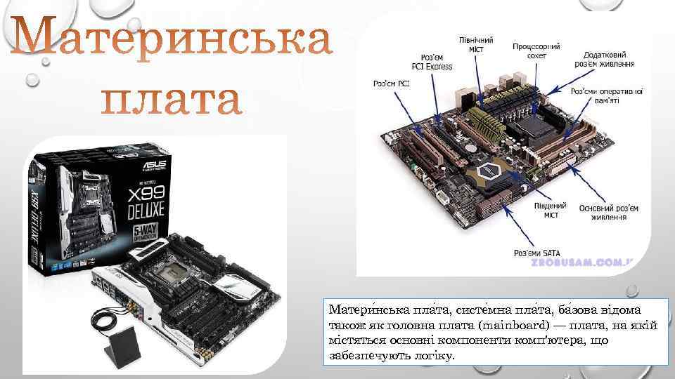 Матери нська пла та, систе мна пла та, ба зова відома також як головна