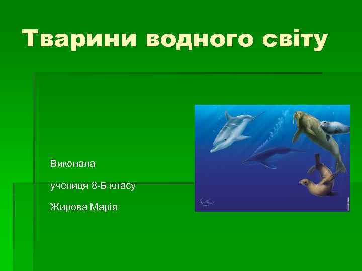 Тварини водного світу Виконала учениця 8 -Б класу Жирова Марія 