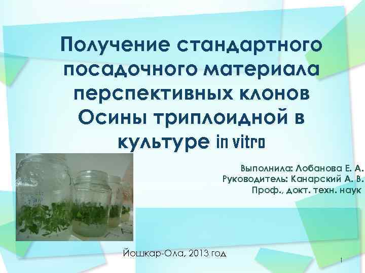 Получение стандартного посадочного материала перспективных клонов Осины триплоидной в культуре in vitro Выполнила: Лобанова