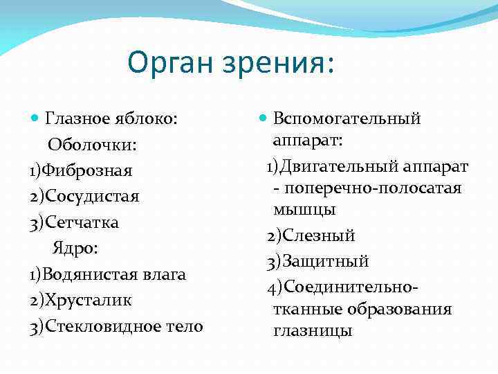 Орган зрения: Глазное яблоко: Оболочки: 1)Фиброзная 2)Сосудистая 3)Сетчатка Ядро: 1)Водянистая влага 2)Хрусталик 3)Стекловидное тело