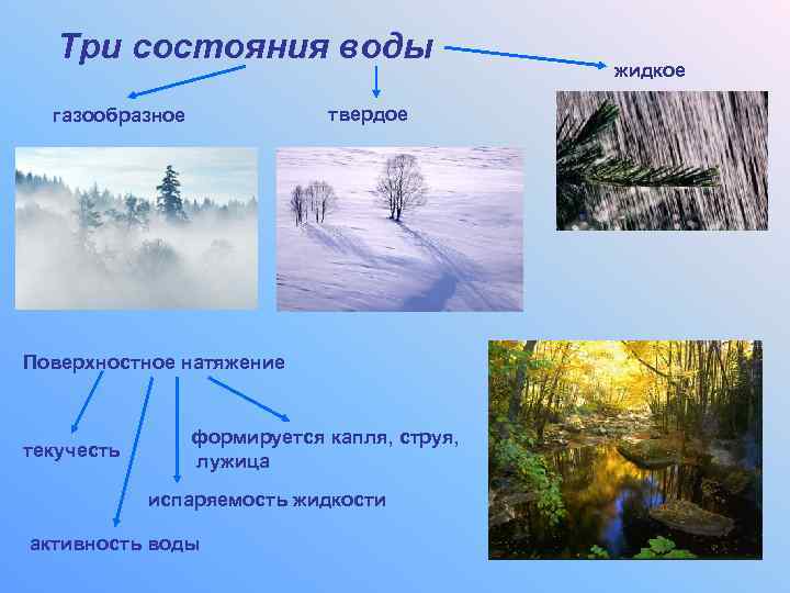 Три состояния воды твердое газообразное Поверхностное натяжение текучесть формируется капля, струя, лужица испаряемость жидкости