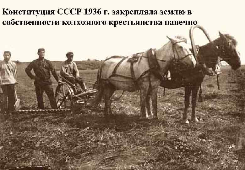 Конституция СССР 1936 г. закрепляла землю в собственности колхозного крестьянства навечно 5 