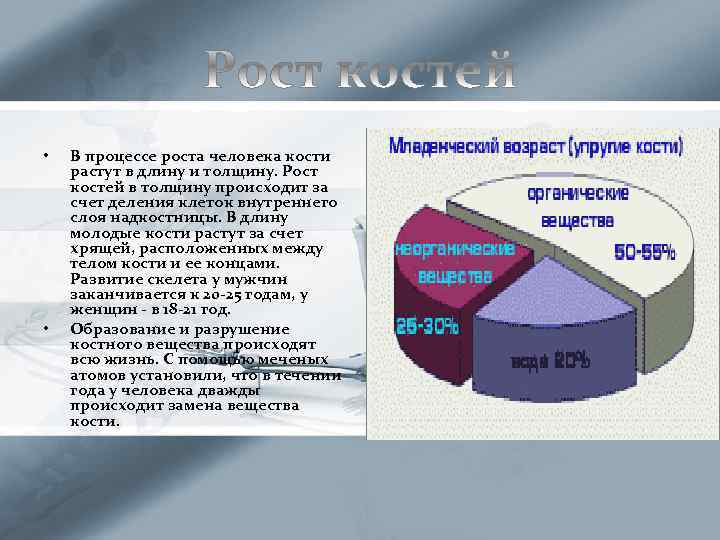  • • В процессе роста человека кости растут в длину и толщину. Рост