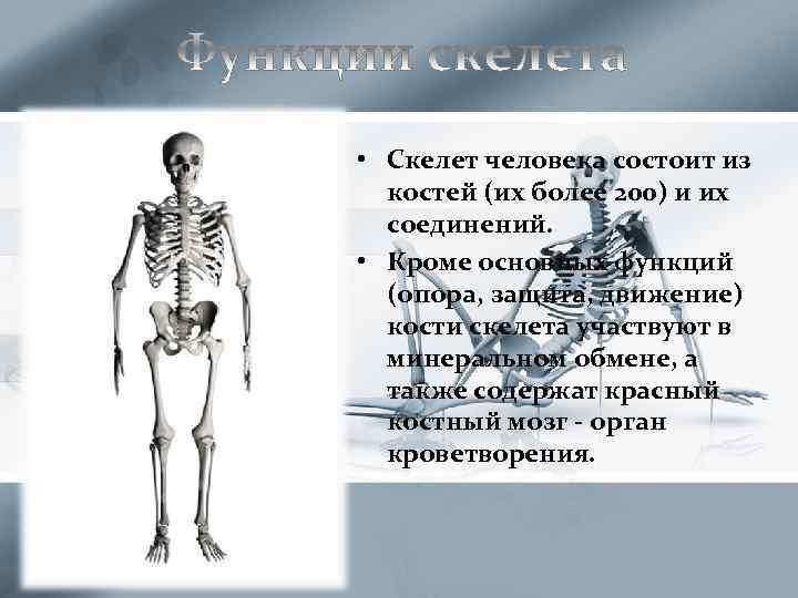 Скелет презентации проекта