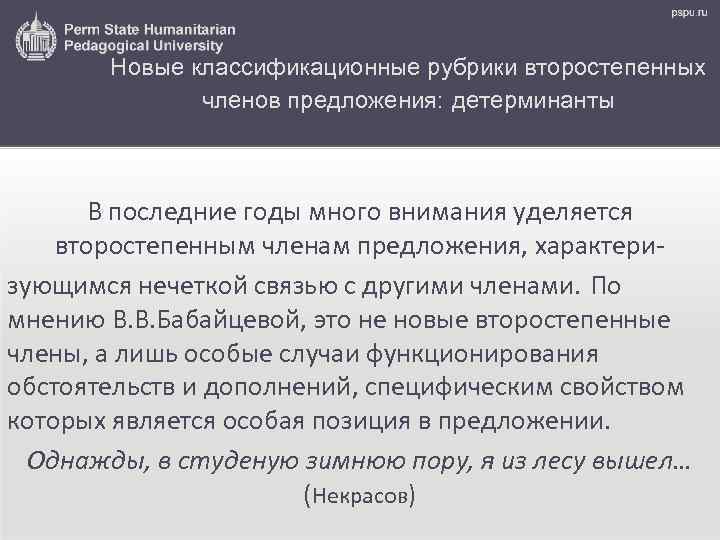 Новые классификационные рубрики второстепенных членов предложения: детерминанты В последние годы много внимания уделяется второстепенным