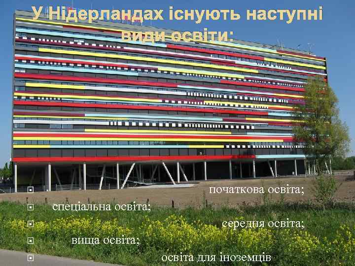 У Нідерландах існують наступні види освіти: початкова освіта; спеціальна освіта; середня освіта; вища освіта;