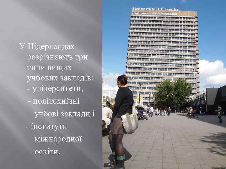 У Нідерландах розрізняють три типи вищих учбових закладів: - університети, - політехнічні учбові заклади