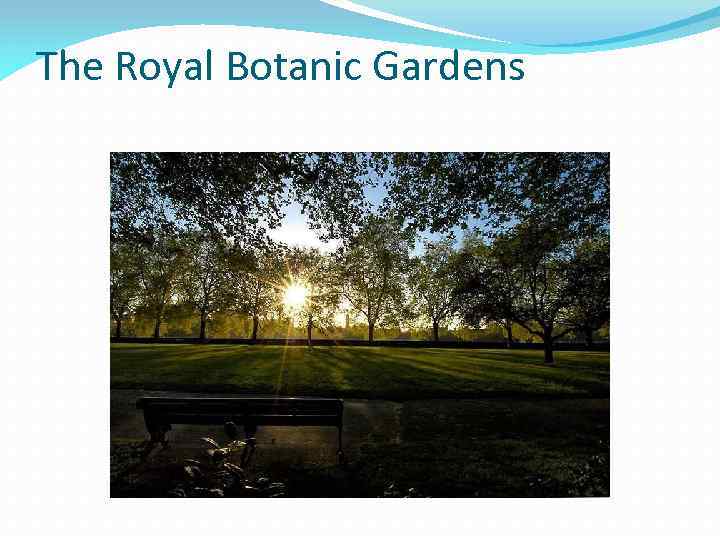 The Royal Botanic Gardens 