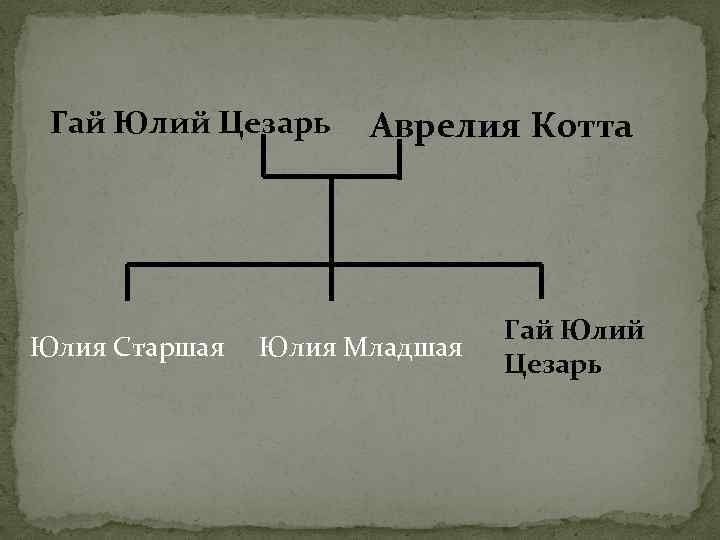Гай Юлий Цезарь Юлия Старшая Аврелия Котта Юлия Младшая Гай Юлий Цезарь 
