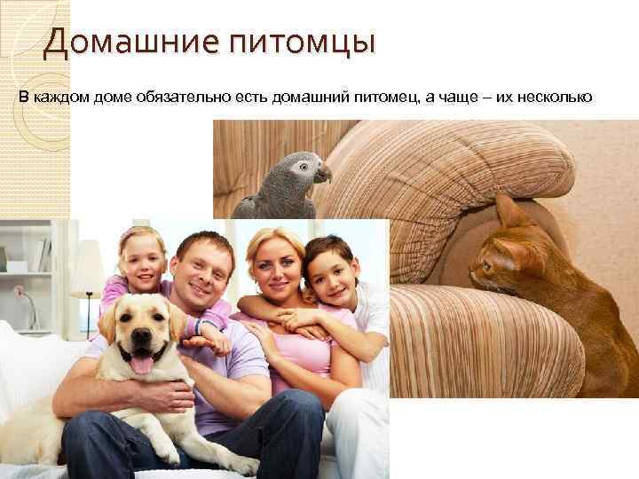 Домашние питомцы В каждом доме обязательно есть домашний питомец, а чаще – их несколько