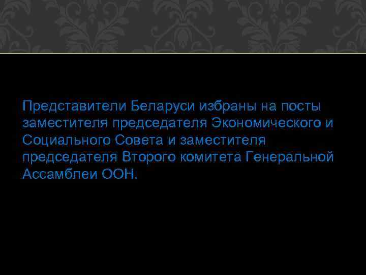 Представители Беларуси избраны на посты заместителя председателя Экономического и Социального Совета и заместителя председателя