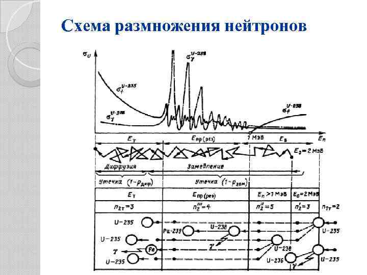 Схема размножения нейтронов 