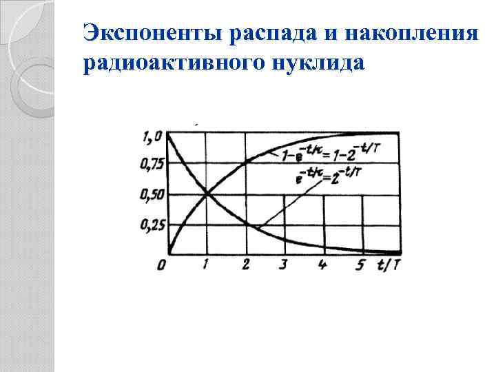 Экспоненты распада и накопления радиоактивного нуклида 
