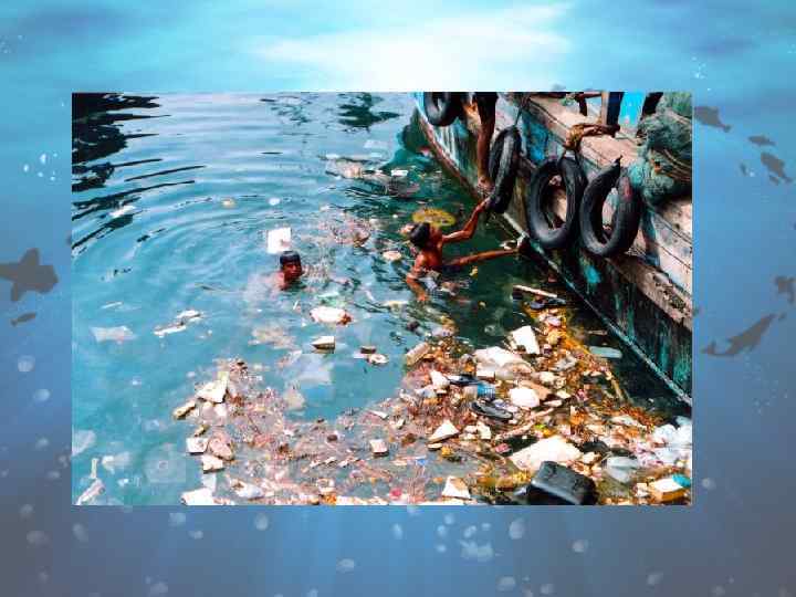 Загрязнение океанов проект