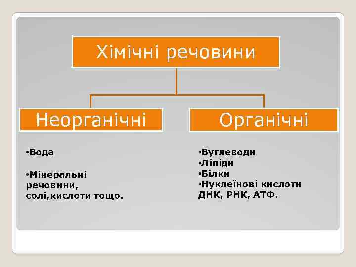 Хімічні речовини Неорганічні • Вода • Мінеральні речовини, солі, кислоти тощо. Органічні • Вуглеводи