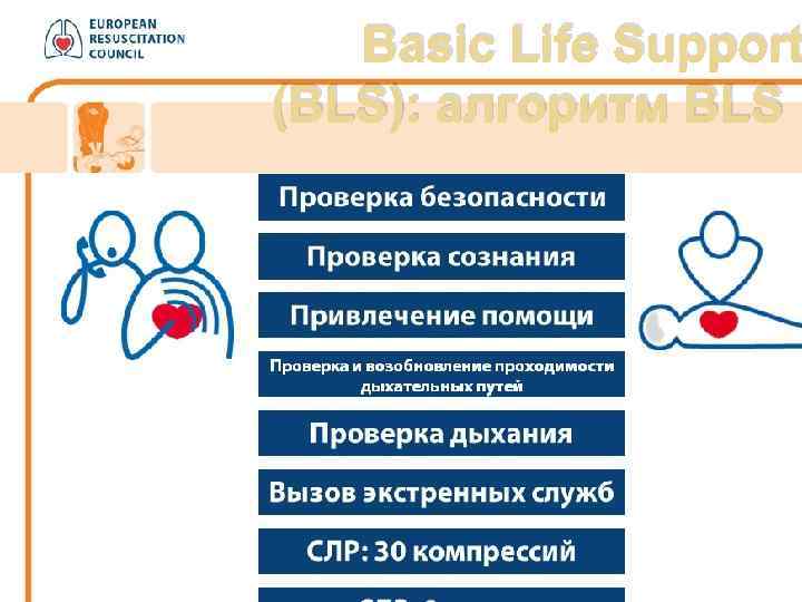  Basic Life Support (BLS): алгоритм BLS 