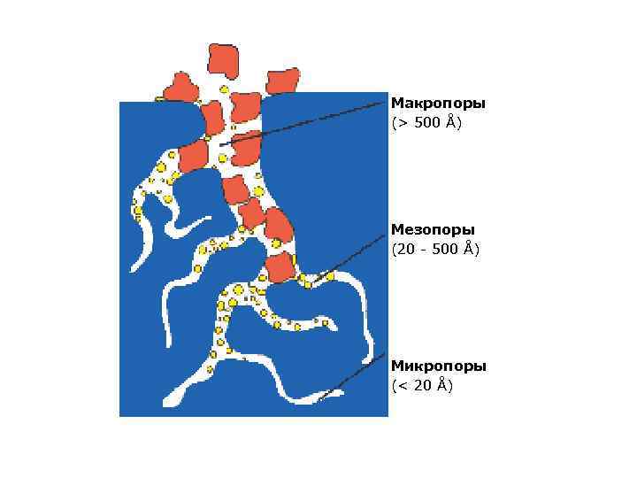 Макропоры (> 500 Å) Мезопоры (20 - 500 Å) Микропоры (< 20 Å) 