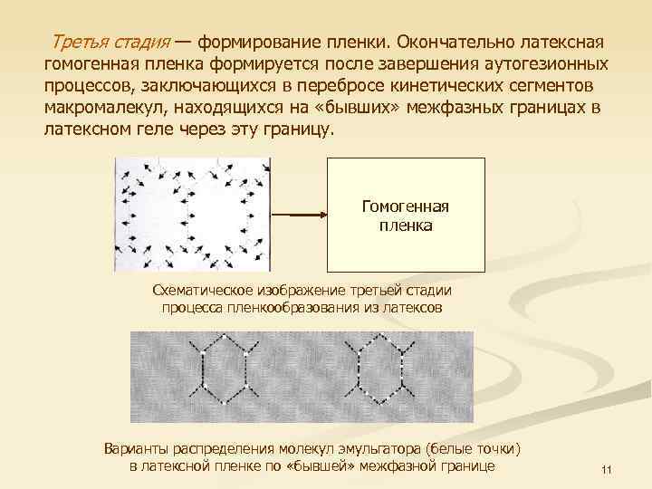  Третья стадия — формирование пленки. Окончательно латексная гомогенная пленка формируется после завершения аутогезионных