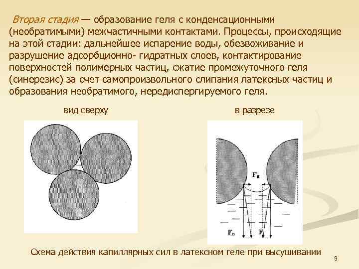  Вторая стадия — образование геля с конденсационными (необратимыми) межчастичными контактами. Процессы, происходящие на