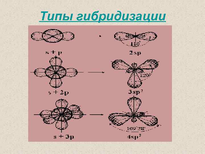 Типы гибридизации 
