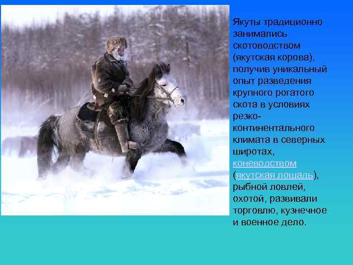 Якуты традиционно занимались скотоводством (якутская корова), получив уникальный опыт разведения крупного рогатого скота в