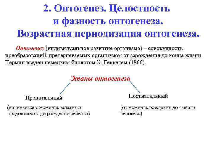 Что такое моторный онтогенез