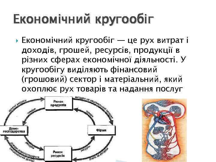 Економічний кругообіг — це рух витрат і доходів, грошей, ресурсів, продукції в різних сферах