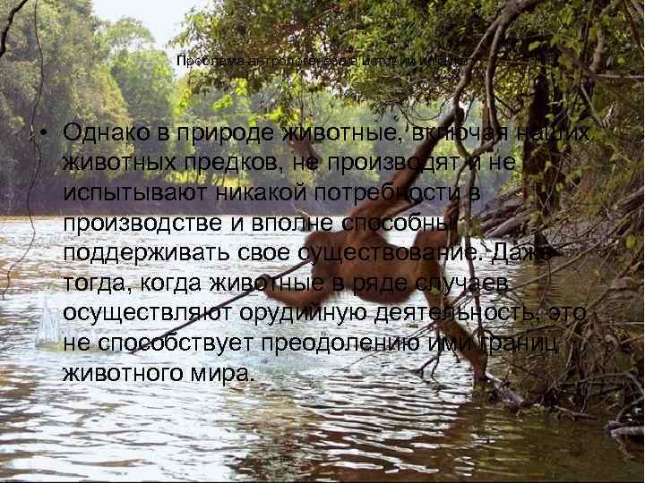 Проблема антропогенеза в истории и науке • Однако в природе животные, включая наших животных